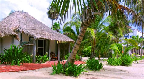 nude beach cancun|Playa Sonrisa Hotel, Mexico ‣ Nude Beach Map